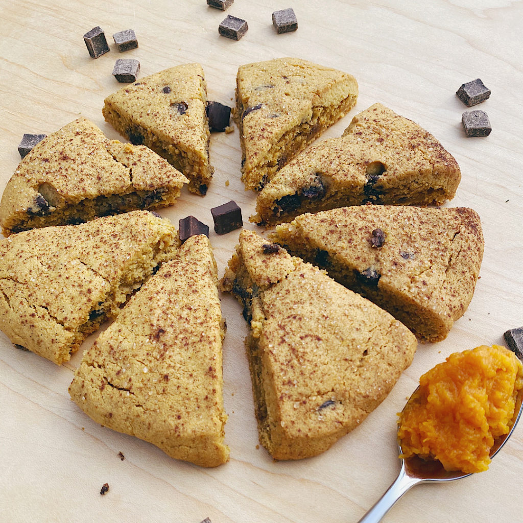 pumpkin chocolate chip scones with pumpkin on a spoon