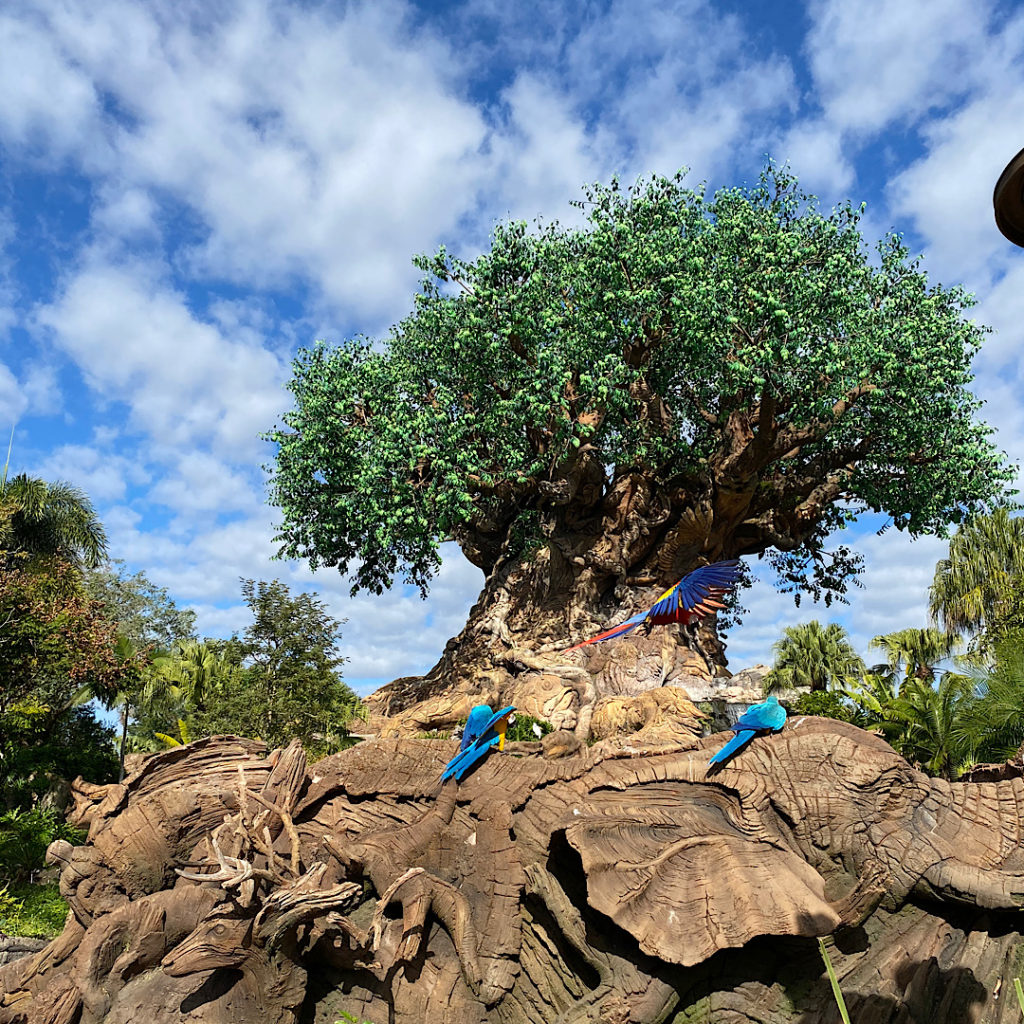 Tree of Life in Animal Kingdom in Disney