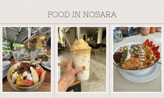 10 Days In Costa Rica // Food in Nosara