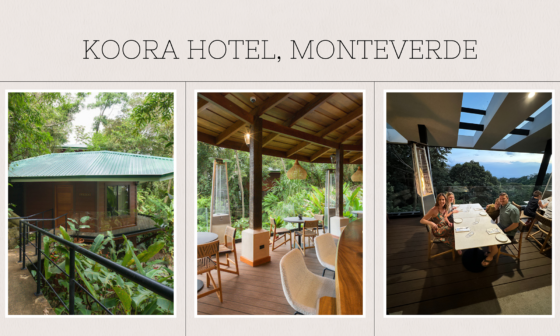 10 Days In Costa Rica // Hotel Monteverde